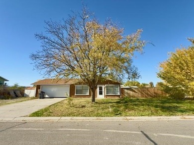 Colorado River Home For Sale in Grand Junction Colorado