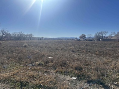 Colorado River Lot Sale Pending in Clifton Colorado