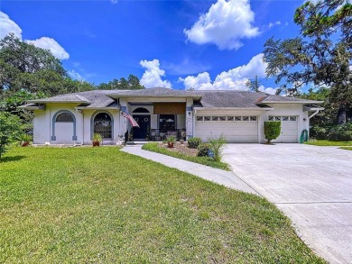Lake Gibson Home For Sale in Lakeland Florida
