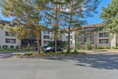 2 bedroom, 2 bathroom condo located in Crystal! When you walk in - photo 2