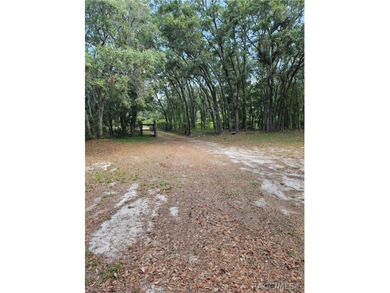 Enjoy the Privacy of This Completely Fenced 1.64 Acre Parcel - photo 2