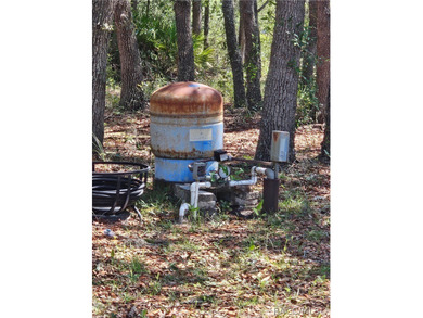 Enjoy the Privacy of This Completely Fenced 1.64 Acre Parcel - photo 4