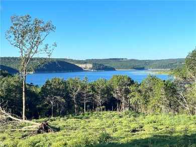 Bull Shoals Lake Acreage For Sale in Lead Hill Arkansas