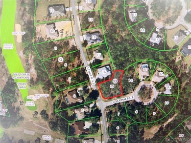 NICE OVERSIZED .39 ACRE CORNER LOT IN GREAT AREA OF CY/PRESS - photo 1
