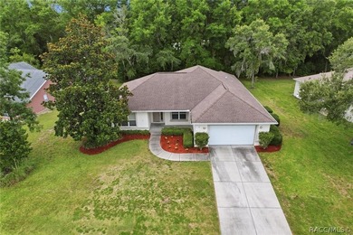 Very well-maintained 3-bed, 2-bath home in Sugarmill Woods - photo 41