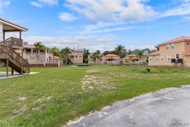 Rare Waterfront Lot Opportunity in Tradewinds at Homosassa! - photo 12