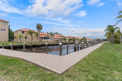 Rare Waterfront Lot Opportunity in Tradewinds at Homosassa! - photo 16