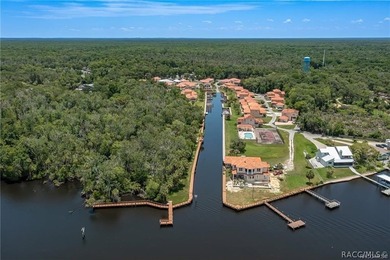 Rare Waterfront Lot Opportunity in Tradewinds at Homosassa! - photo 19