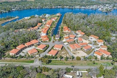 Rare Waterfront Lot Opportunity in Tradewinds at Homosassa! - photo 21