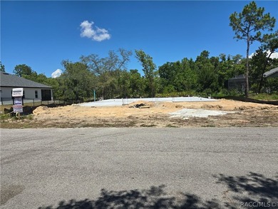 This 2117 square foot home is located on a .26 acre lot and has - photo 1