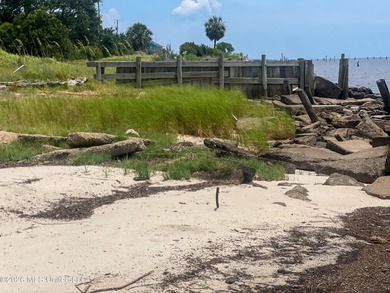 Rare opportunity to own two lots on scenic Belle Fontaine Drive - photo 8