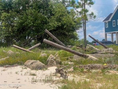 Rare opportunity to own two lots on scenic Belle Fontaine Drive - photo 9