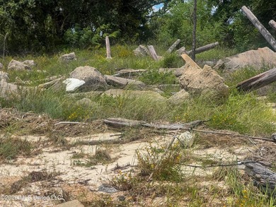 Rare opportunity to own two lots on scenic Belle Fontaine Drive - photo 10