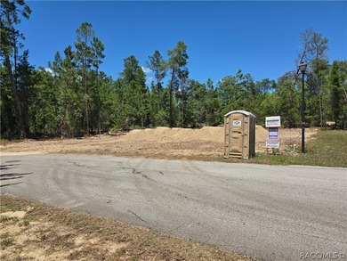 This 2117 square foot home is located on a .28 acre lot and has - photo 1