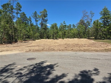 This 2117 square foot home is located on a .28 acre lot and has - photo 2