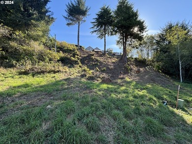 Fantastic views from this over 1/2 acre lot, located in - photo 11