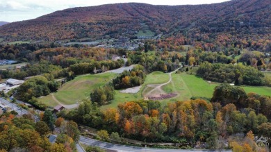 Lake Acreage For Sale in Windham, New York