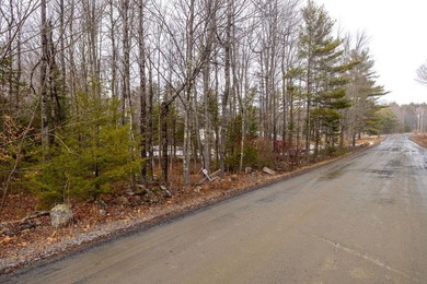 Tucked away in the heart of Maine's lake country, this raw - photo 3