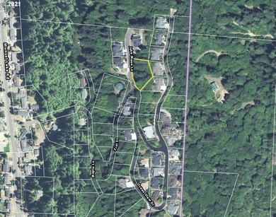 Fantastic views from this over 1/2 acre lot, located in - photo 13
