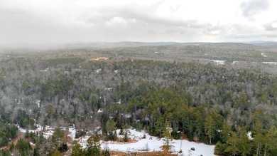 Tucked away in the heart of Maine's lake country, this raw - photo 7