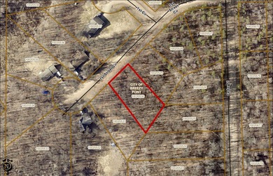Build your dream or home getaway in the heart of Breezy Point! - photo 1