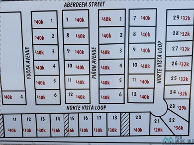 Pecos River Lot For Sale in Hagerman New Mexico