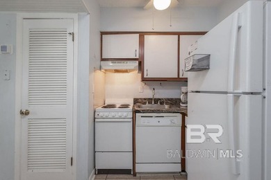This penthouse condominium offers the perfect blend of vintage - photo 21