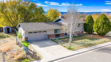 Colorado River Home For Sale in Grand Junction Colorado