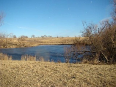 (private lake, pond, creek) Acreage For Sale in Promise City Iowa