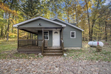 (private lake, pond, creek) Home For Sale in Pullman Michigan