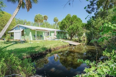 Step into the charm of Old Homosassa with this beautifully - photo 2
