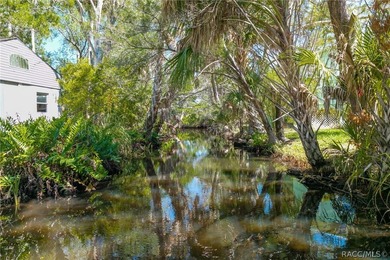 Step into the charm of Old Homosassa with this beautifully - photo 7