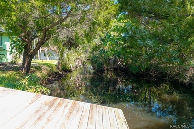 Step into the charm of Old Homosassa with this beautifully - photo 9