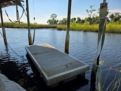 Waterfront Paradise in Suwannee, Florida! Discover two prime - photo 12