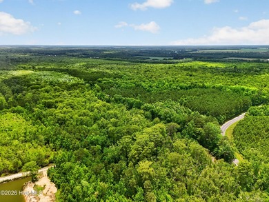 46.52 +/- Acres of Wooded Land - Washington County, NC Discover - photo 22