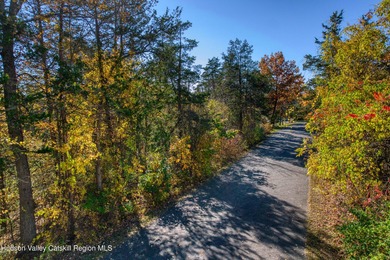 Lake Lot For Sale in Athens, New York