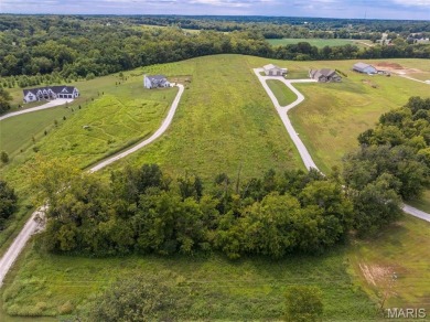 (private lake, pond, creek) Acreage Under Contract in Wentzville Missouri