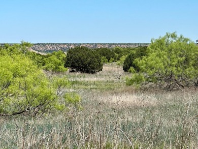 Lake Acreage For Sale in Canyon, Texas