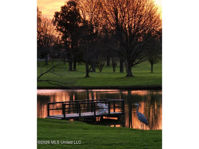 Rarely does a property offer this combination of acreage - photo 3
