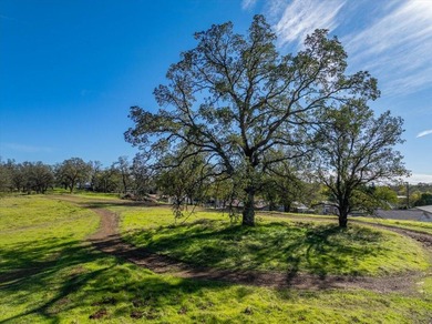 This rare 26-parcel land portfolio spans both sides of - photo 2