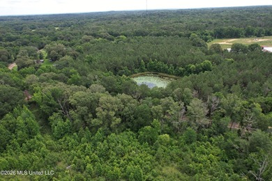 This 53+/- acre tract offers a beautiful combination of mature - photo 2
