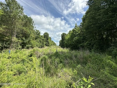 This 53+/- acre tract offers a beautiful combination of mature - photo 3
