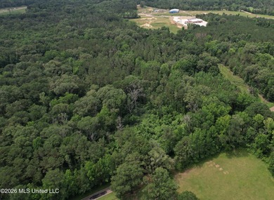 This 53+/- acre tract offers a beautiful combination of mature - photo 4