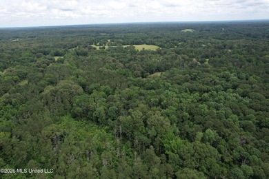 This 53+/- acre tract offers a beautiful combination of mature - photo 6