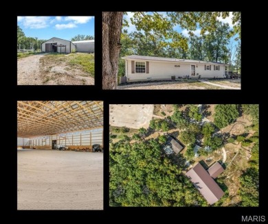 Pinnacle Lake Home For Sale in New Florence Missouri