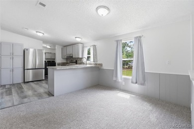 Welcome to this extensively renovated 4-bedroom, 2-bath home - photo 12