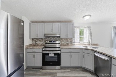 Welcome to this extensively renovated 4-bedroom, 2-bath home - photo 14