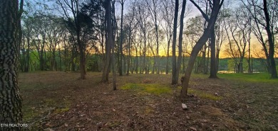 (private lake, pond, creek) Lot For Sale in Loudon Tennessee