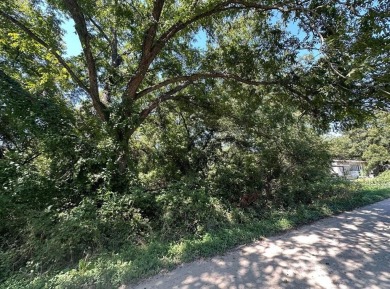 Lake Granbury Lot For Sale in Granbury Texas