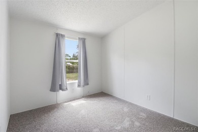 Welcome to this extensively renovated 4-bedroom, 2-bath home - photo 24